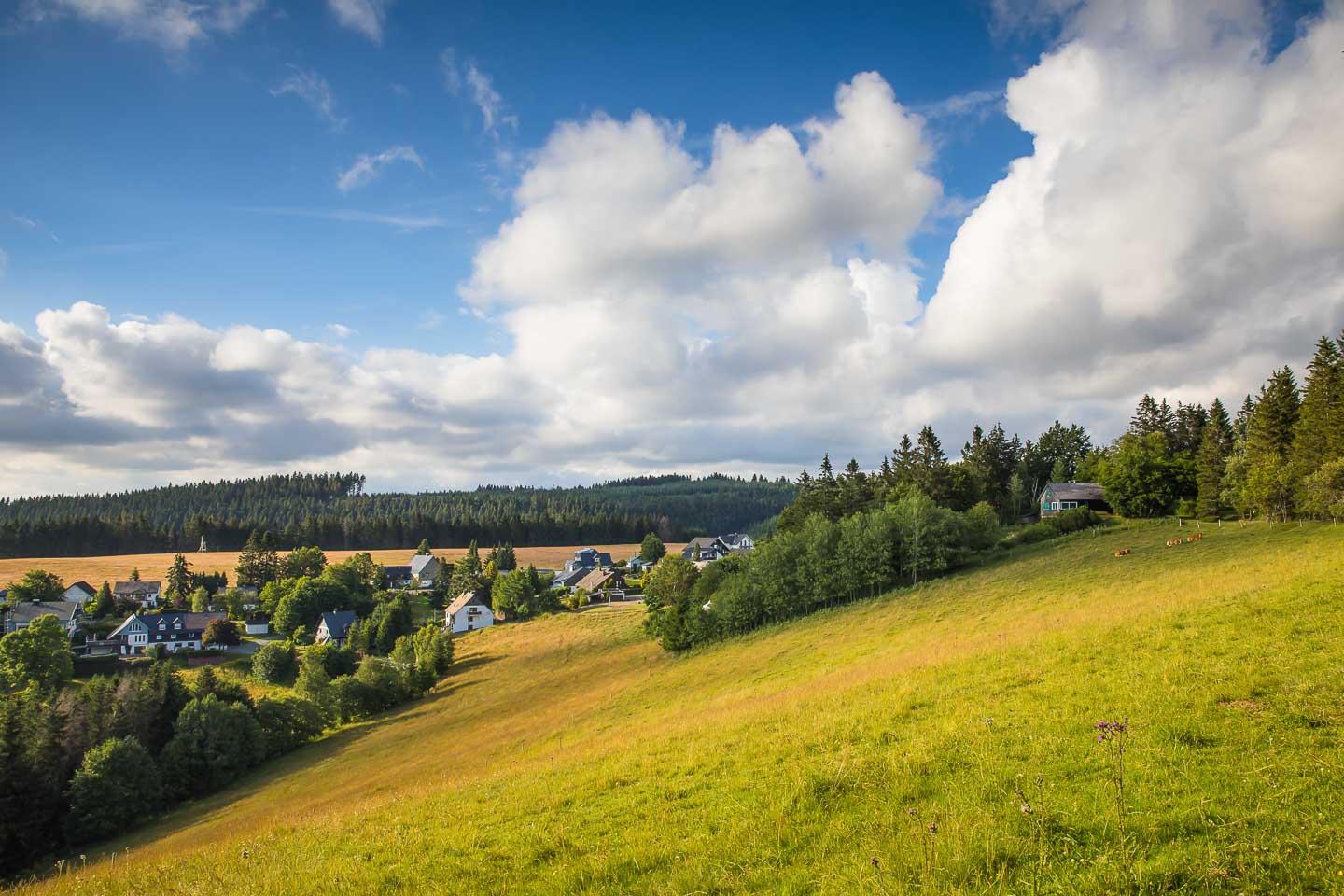 Sommer in Lenneplätze